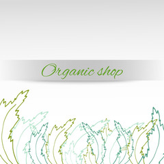 Elegant background for organic, healthy and vegan shop, boutique or food packaging