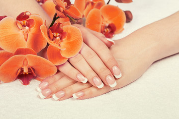 Beautiful female hands with french manicure covered with orchid flowers. Manicure salon.