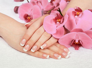 Beautiful female hands with french manicure covered with rose orchid flowers. Manicure salon.