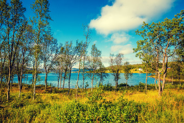 Beautiful mountain lake shore with birch trees .Wild nature Norway.
