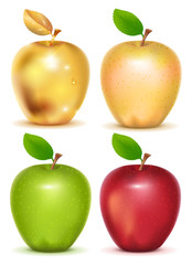 Set of red, yellow, green and gold apple on white background