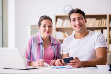 Young family discussing family finances