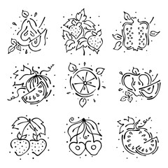 Set of vector illustrations of fruits. Watermelon, apple, pear, pomegranate, cherry, strawberry, berry and orange, watermelon on the white background. Hand drawn contour lines and strokes.
