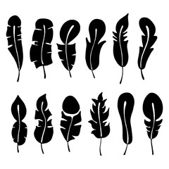 Vector set of hand drawn illustration, decorative stylized feather. Black and white graphic, silhouettes illustration, isolated on the white background. Inc drawing silhouette.