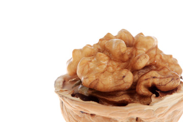 walnut