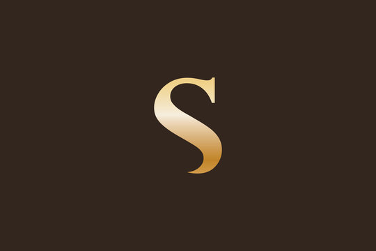 Luxurious Brand Letter S Logo