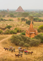 Bagan horse buggy
