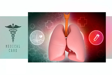 Obraz premium Healthy Human Lungs 3d illustration