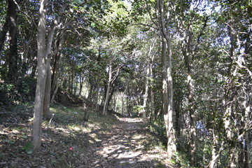 山道