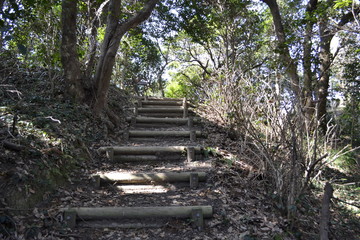 山道