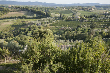 Countryside near San Gimignano; Tuscany