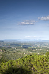 Fototapeta na wymiar Countryside near San Gimignano; Tuscany;