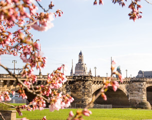 Frühling in Dresden, 