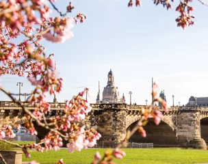 Frühling in Dresden,  © cstirit