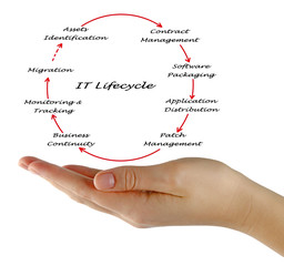 IT Lifecycle Management