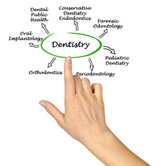Diagram of Dentistry