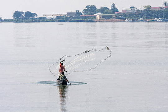 Fisherman in boat casts a net in Victoria Lake bay against hazy bank background. Entebbe, Uganda, Eastern Africa.
