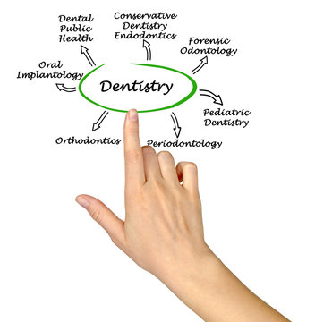 Diagram Of Dentistry