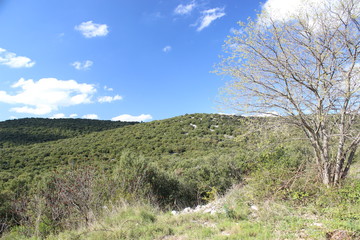 Obraz premium Causse de la Selle, gorges de l'hérault, france 