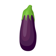 Purple eggplant in cartoon flat style. Natural, fresh vegetable