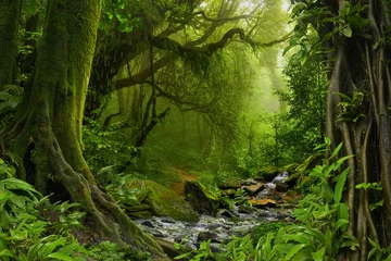 Selbstklebende Fototapete Dschungel Nepal-Dschungel mit Fluss