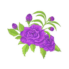 Watercolor Purple Rose Painting Hand Drawn