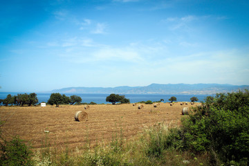Nature views near Baths of Aphrodite, Akamas Peninsula, Cyprus