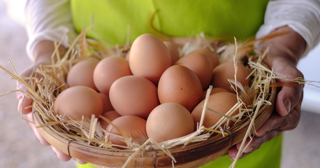 Female hands holding raw eggs in basket with straw and chicken feathers, closeup. Fresh organic eggs on the hands of cooker.