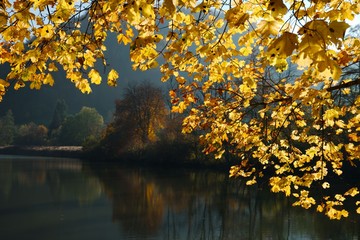Swiss Lucelle Lake (Lac de Lucelle) in a golden frame of autumn leaves