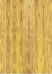 Vector wooden texture, light wood
