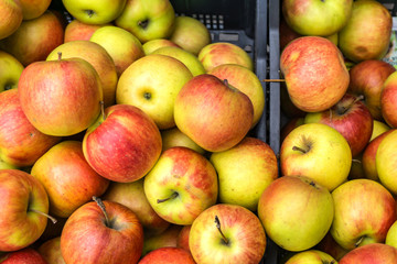 Closeup of crates of juicy, fresh, ecologically produced apples, Fuji, without nitrates. Captured in the market for fruits and vegetables. Concept health and agriculture.
