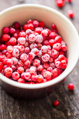 Frozen Cranberry, Vertical Close-up View