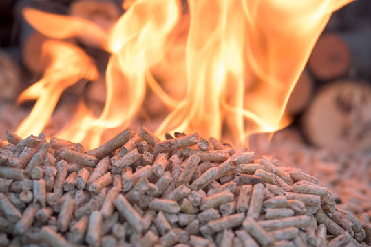Biomass inn fire
