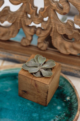 Succulent in wooden box