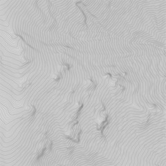 Obraz premium Vector abstract earth relief map. Generated conceptual elevation map.
