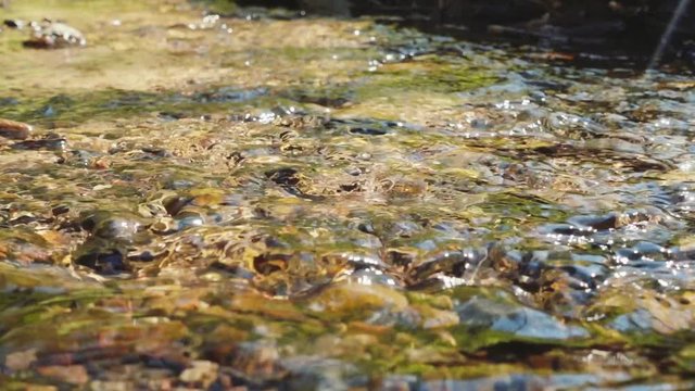 Flowing water in a clean river, slow motion