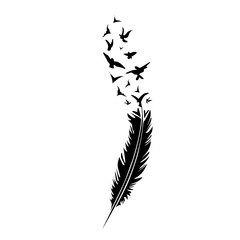 Black-and-white feather on white backround, vector illustration