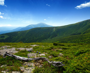 Mountain landscape in summer