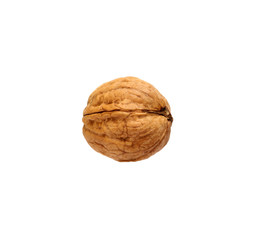 Single walnut isolated on a white