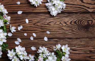 Obraz na płótnie Canvas Spring flowers on wood