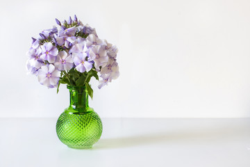 Bouquet of blue phlox in a green glass vase  on white background.