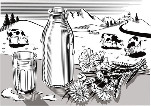 Glass and bottle of fresh pasteurized milk, a bunch of wild flowers and agricultural landscape with grazing cows.