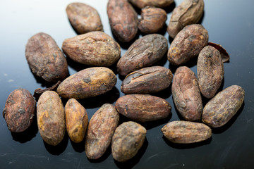 raw cacao beans 