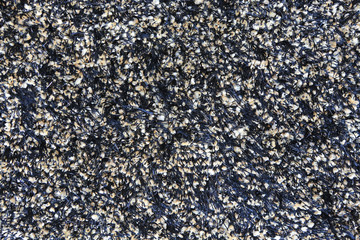 Elegance grey color carpet texture