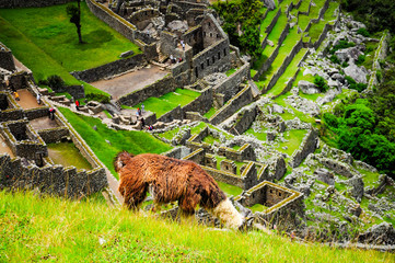 Machu Picchu, Peruvian travel destination, Cuzco, Peru. World Heritage site. New seven wonder of the world.