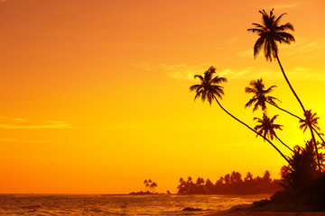 Fototapeta na wymiar Sunset on empty tropical beach