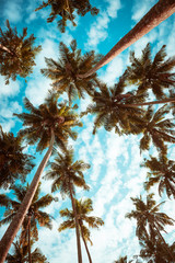 Naklejka premium Coconut palm trees on tropical beach vintage nostalgic film color filter stylized and toned