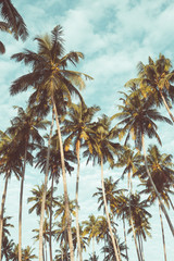 Obraz premium Coconut palm trees on tropical beach vintage nostalgic film color filter stylized and toned