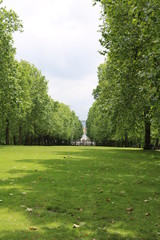 Fototapeta na wymiar Green park view to Victoria Memorial in London, United Kingdom