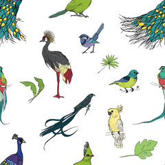 Realistic hand drawn colorful seamless pattern of beautiful exotic tropical birds with palm leaves. Flamingos, cockatoo, hummingbird, toucan, peacock.